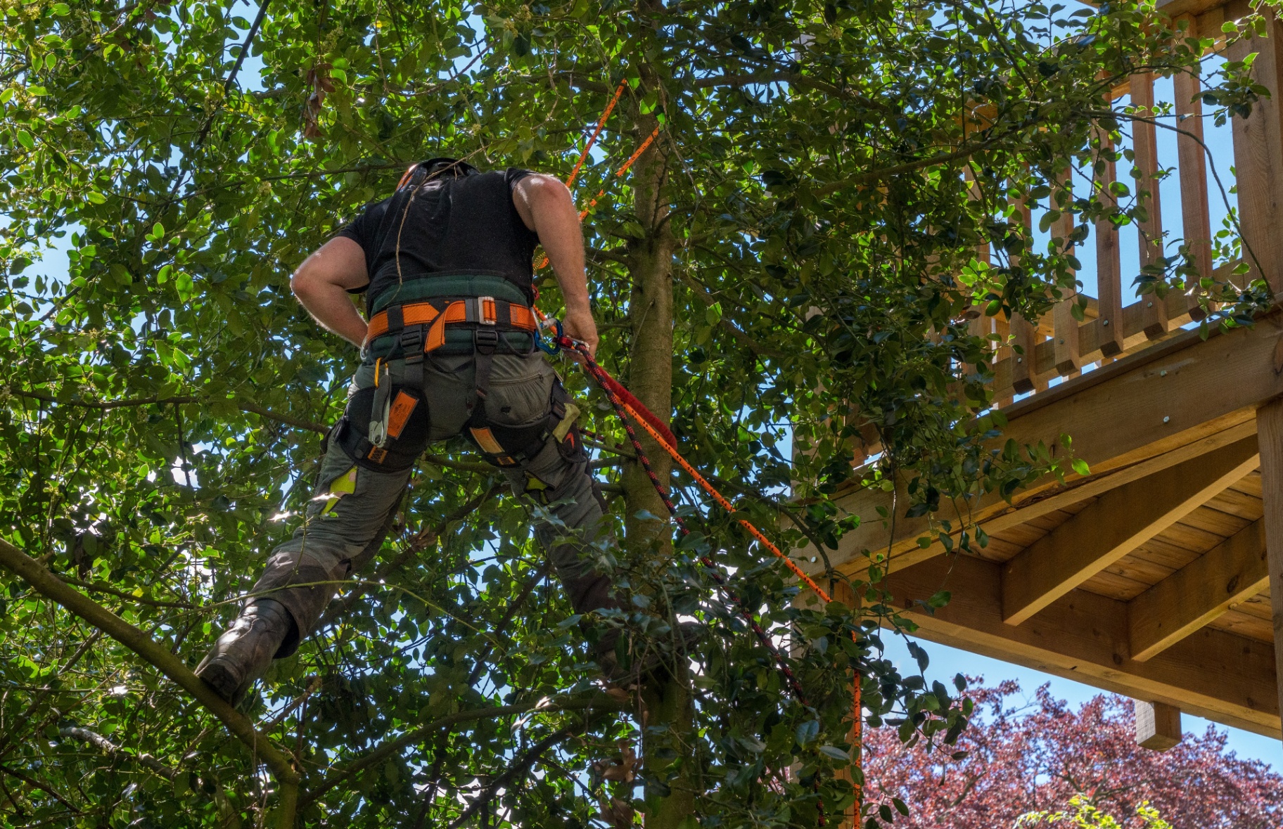 Technical removal beside a structure — Gabriola Island