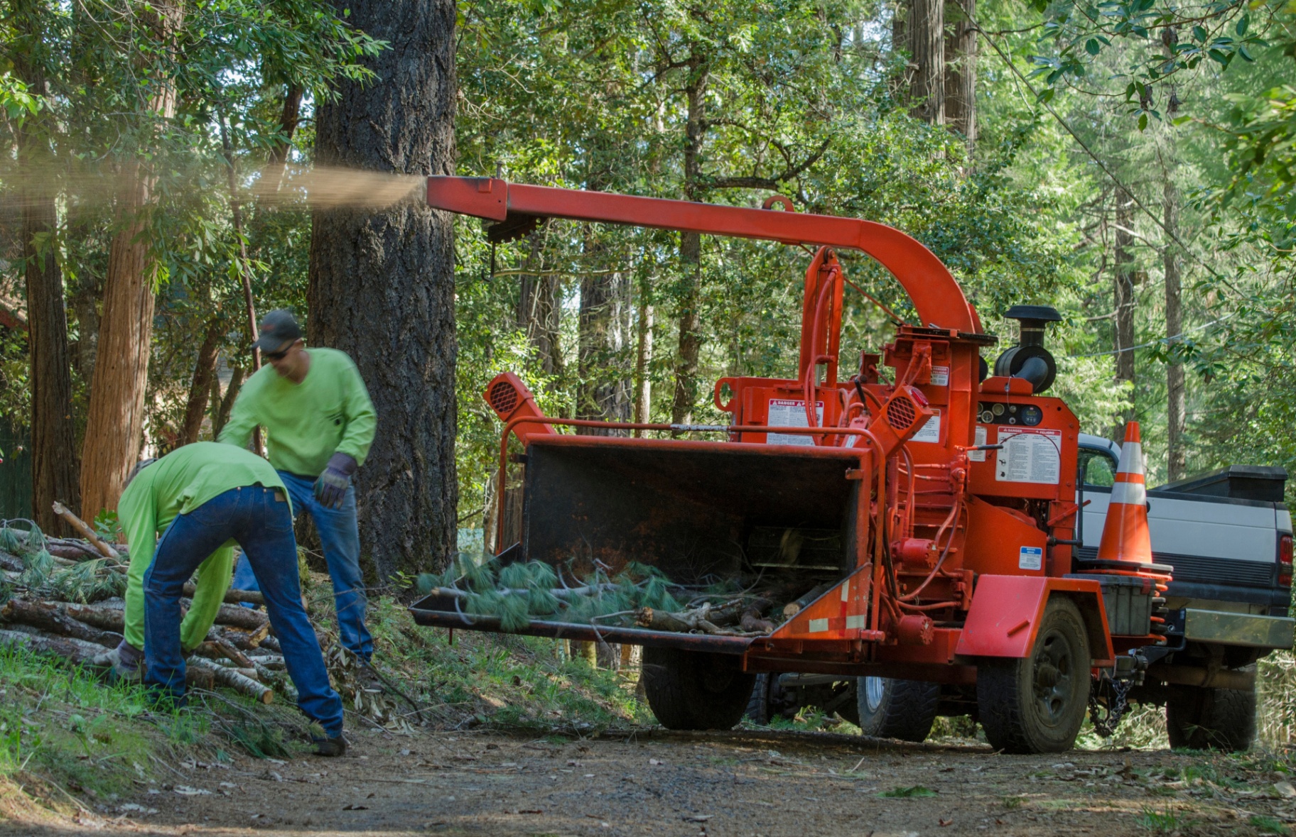 Full lot cleanup & chipping — Nanaimo